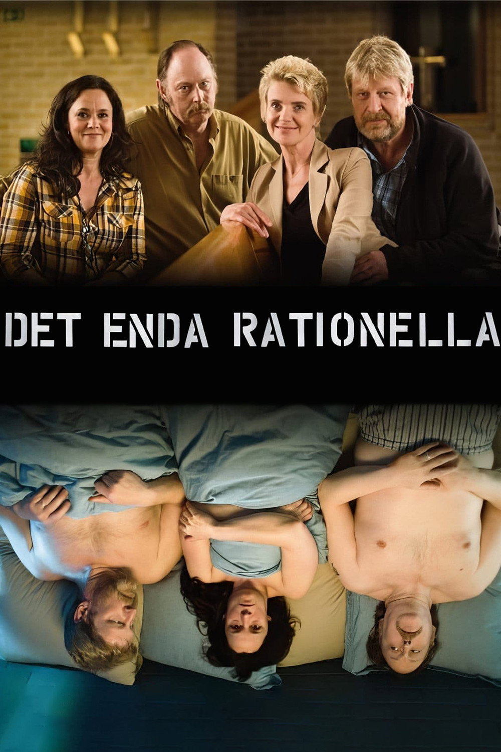 A Rational Solution (2009) poster