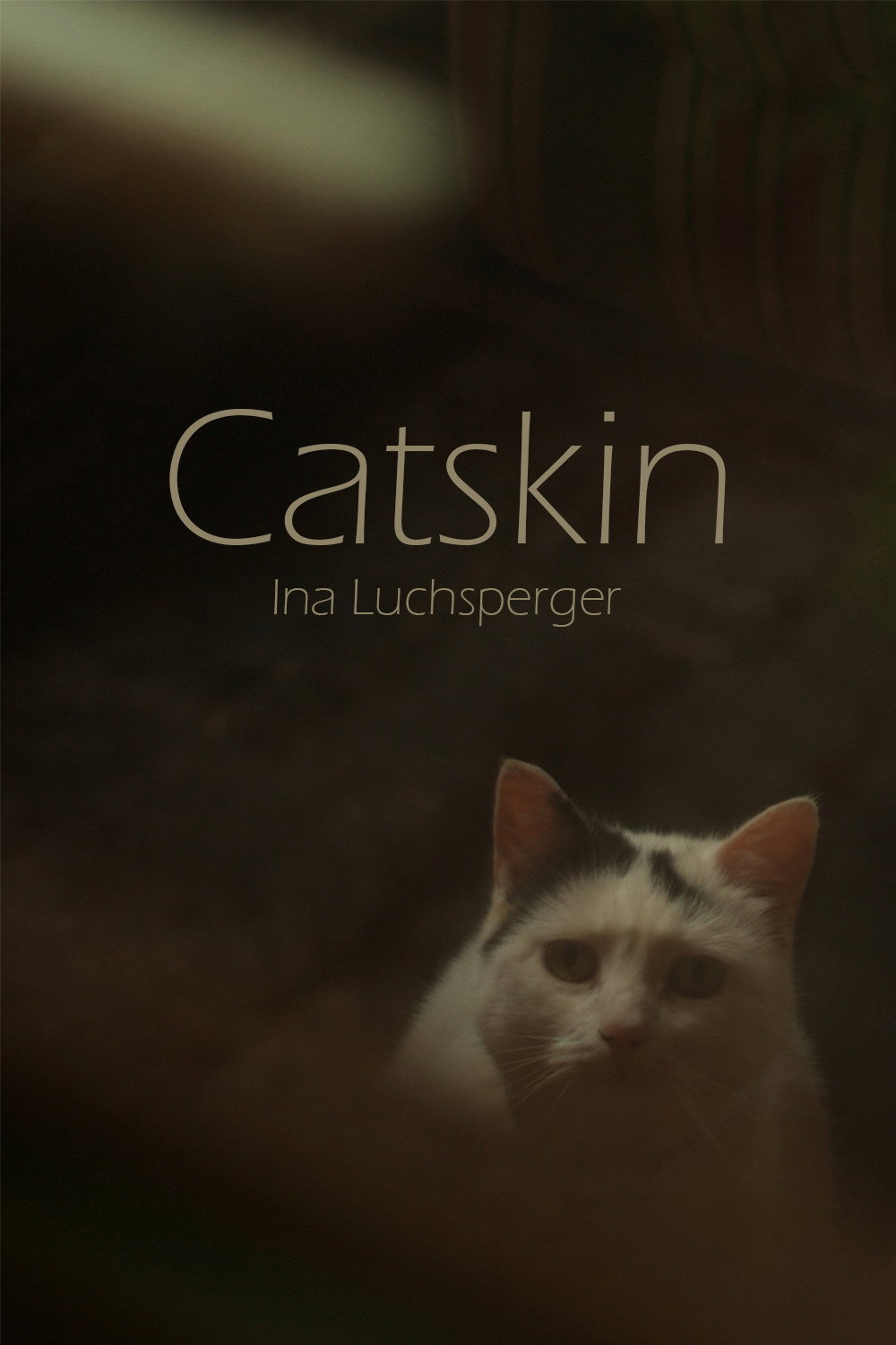 Catskin (2020) poster