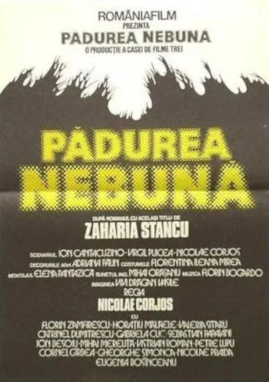 Mad Forest (1982) poster