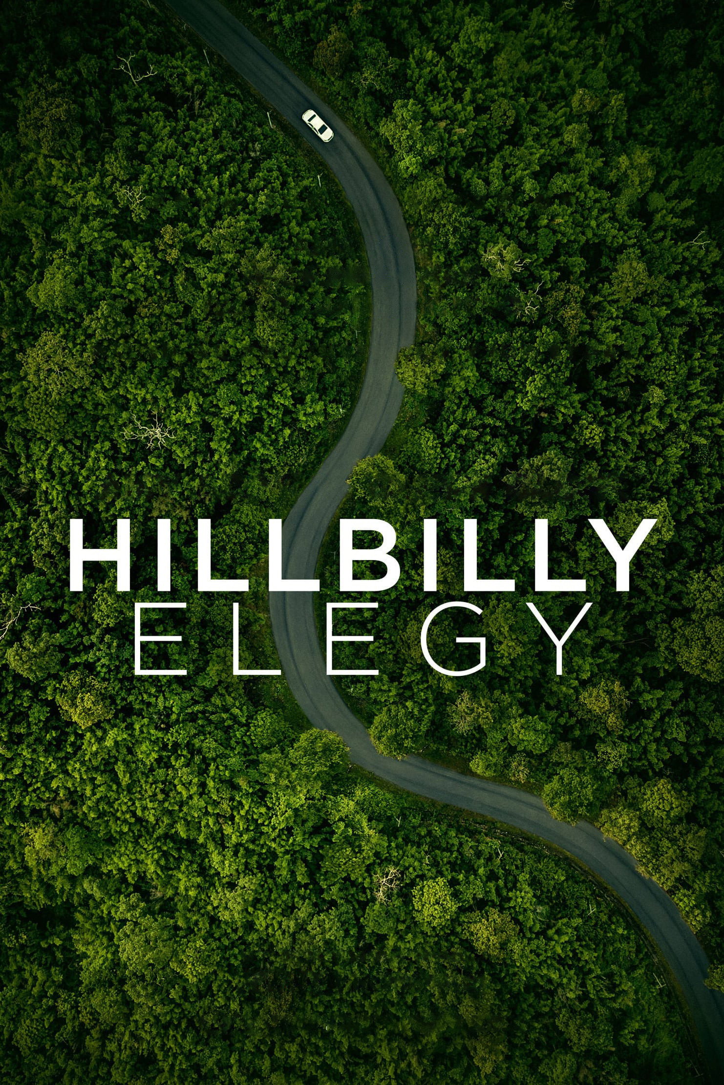 Hillbilly Elegy (2020) poster