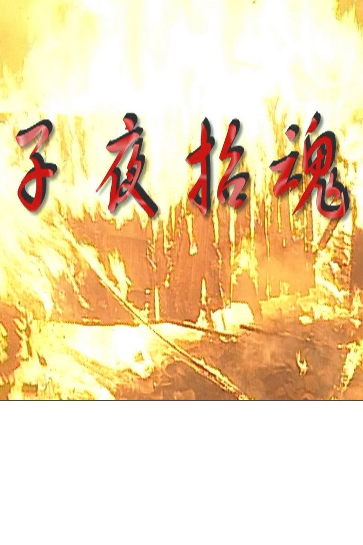 子夜招魂 (2011) poster