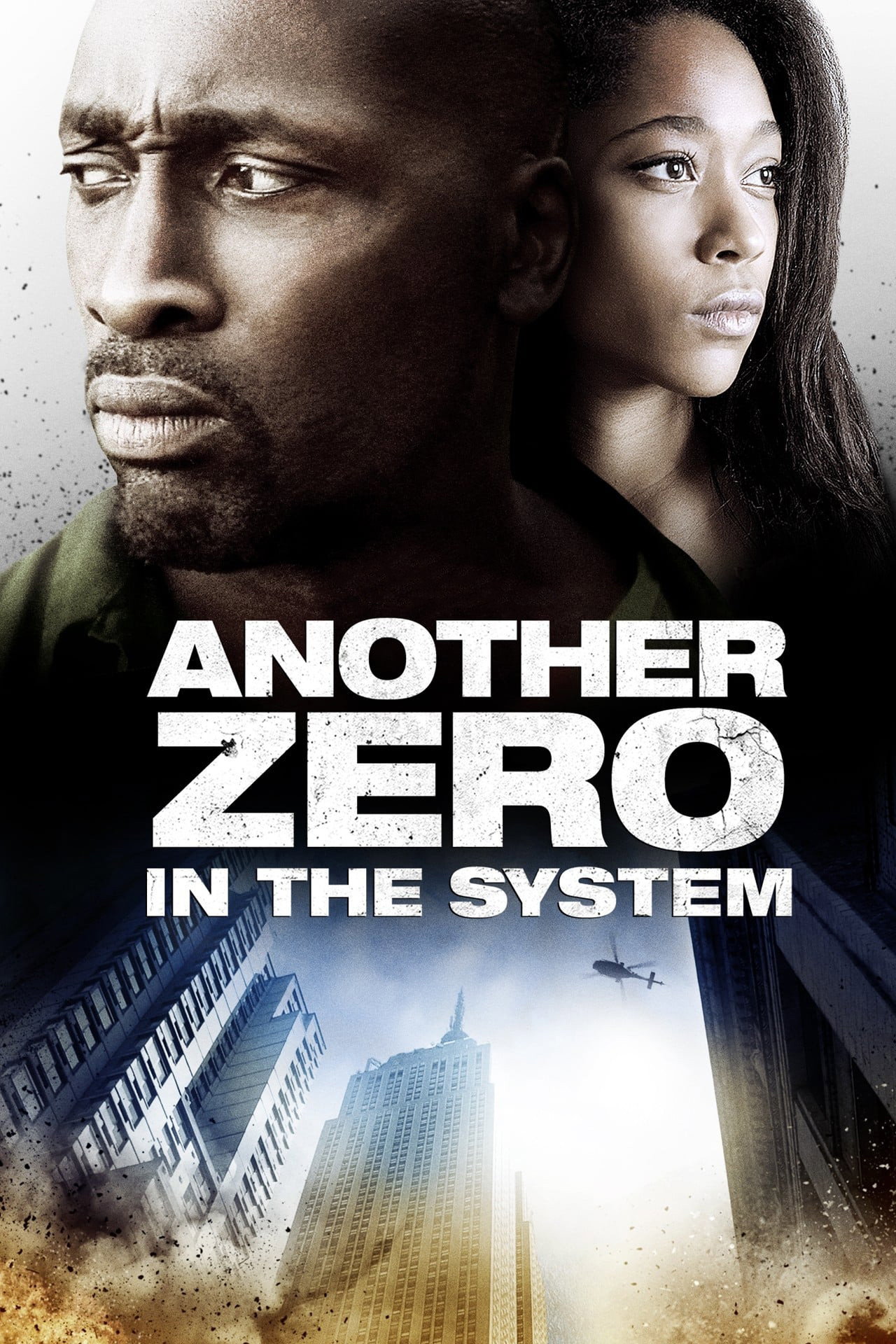 Another Zero in the System (2013) poster