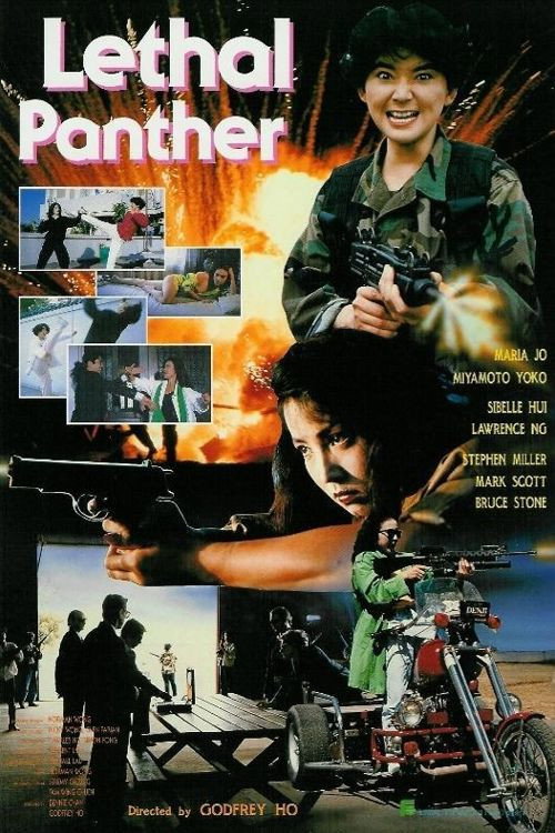 Lethal Panther (1990) poster