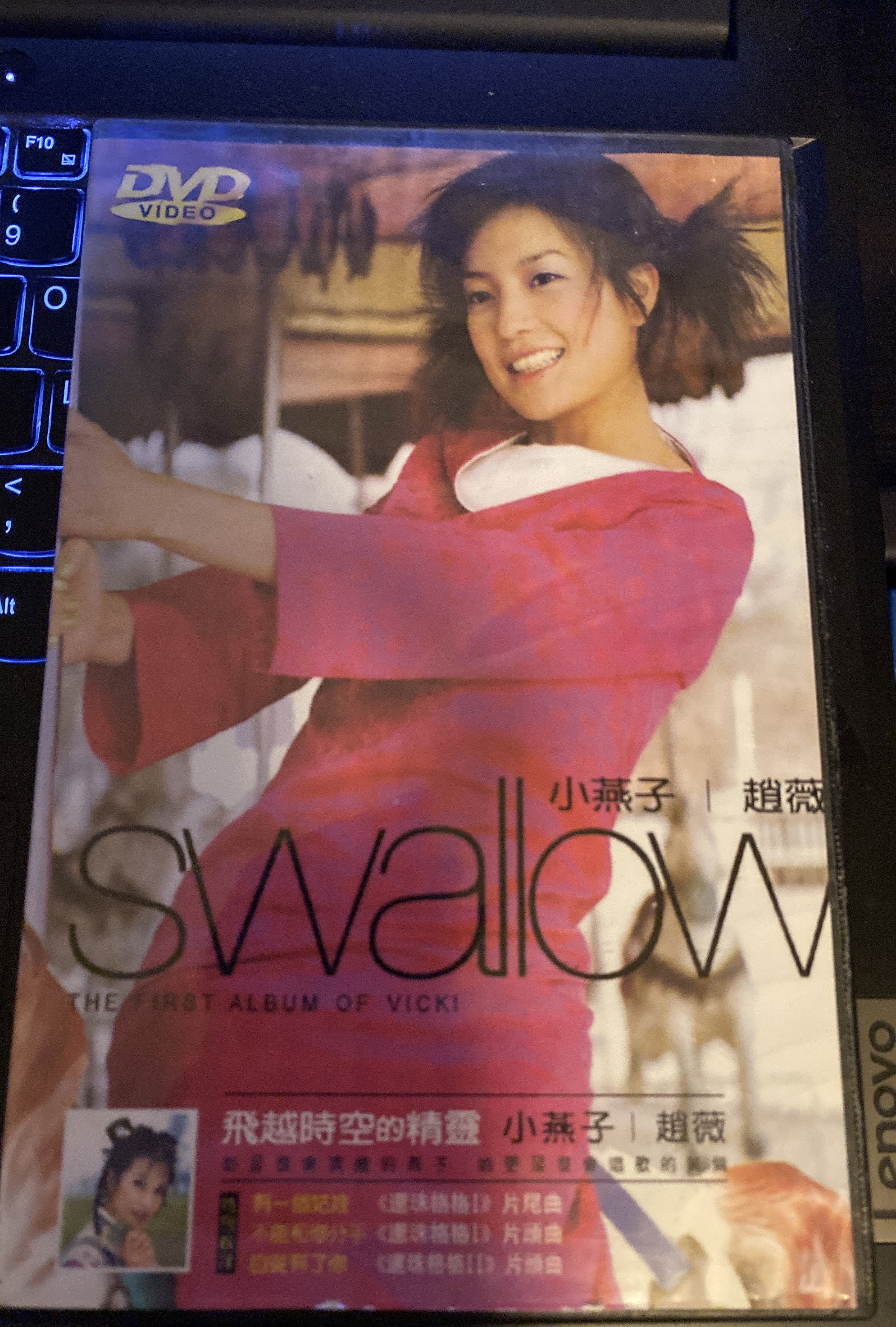 Swallow (1999) poster