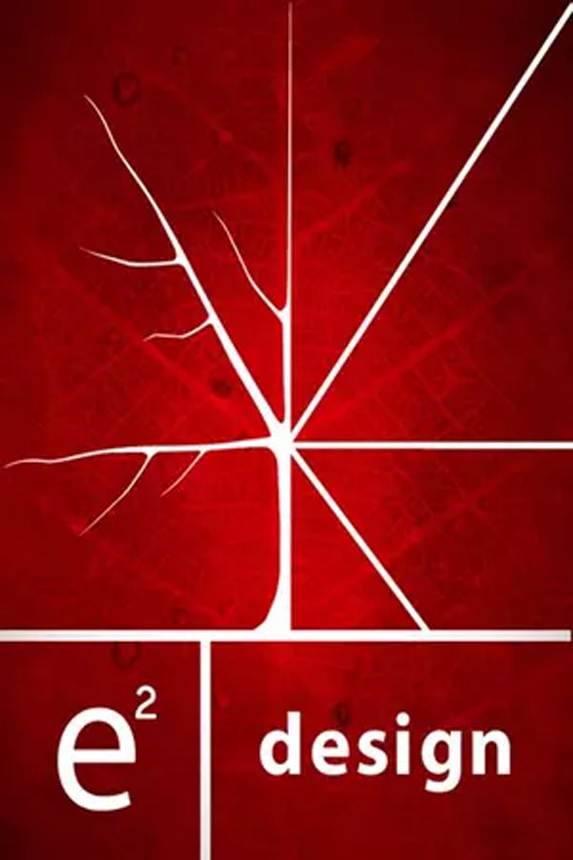 e² design (2006) poster