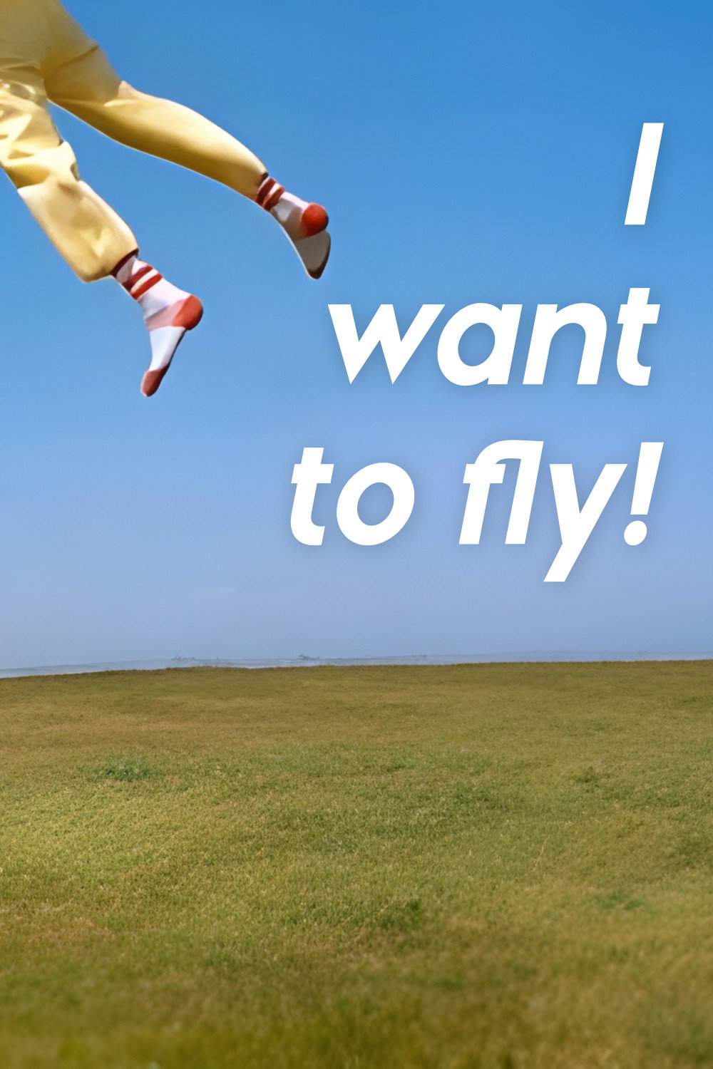 I Want to Fly (1995) poster