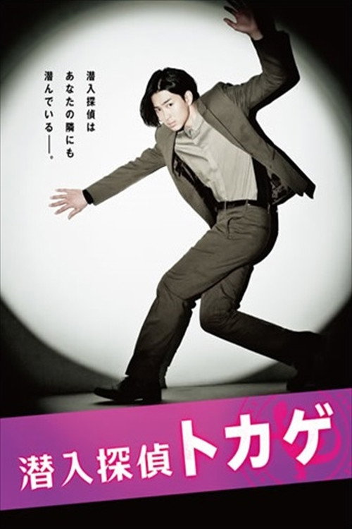 Undercover Agent Lizard (2013) poster