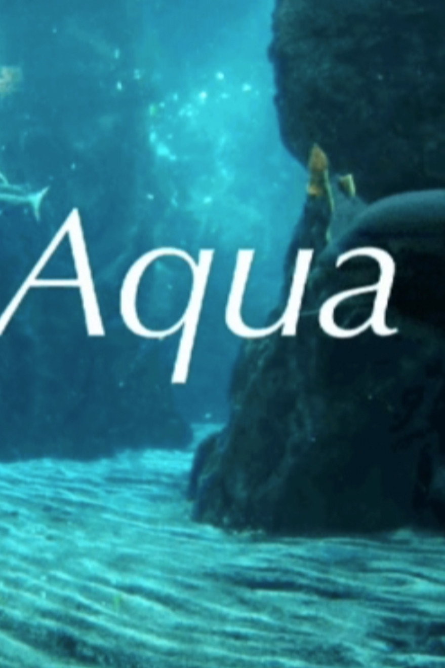 Sub Aqua (2026) poster