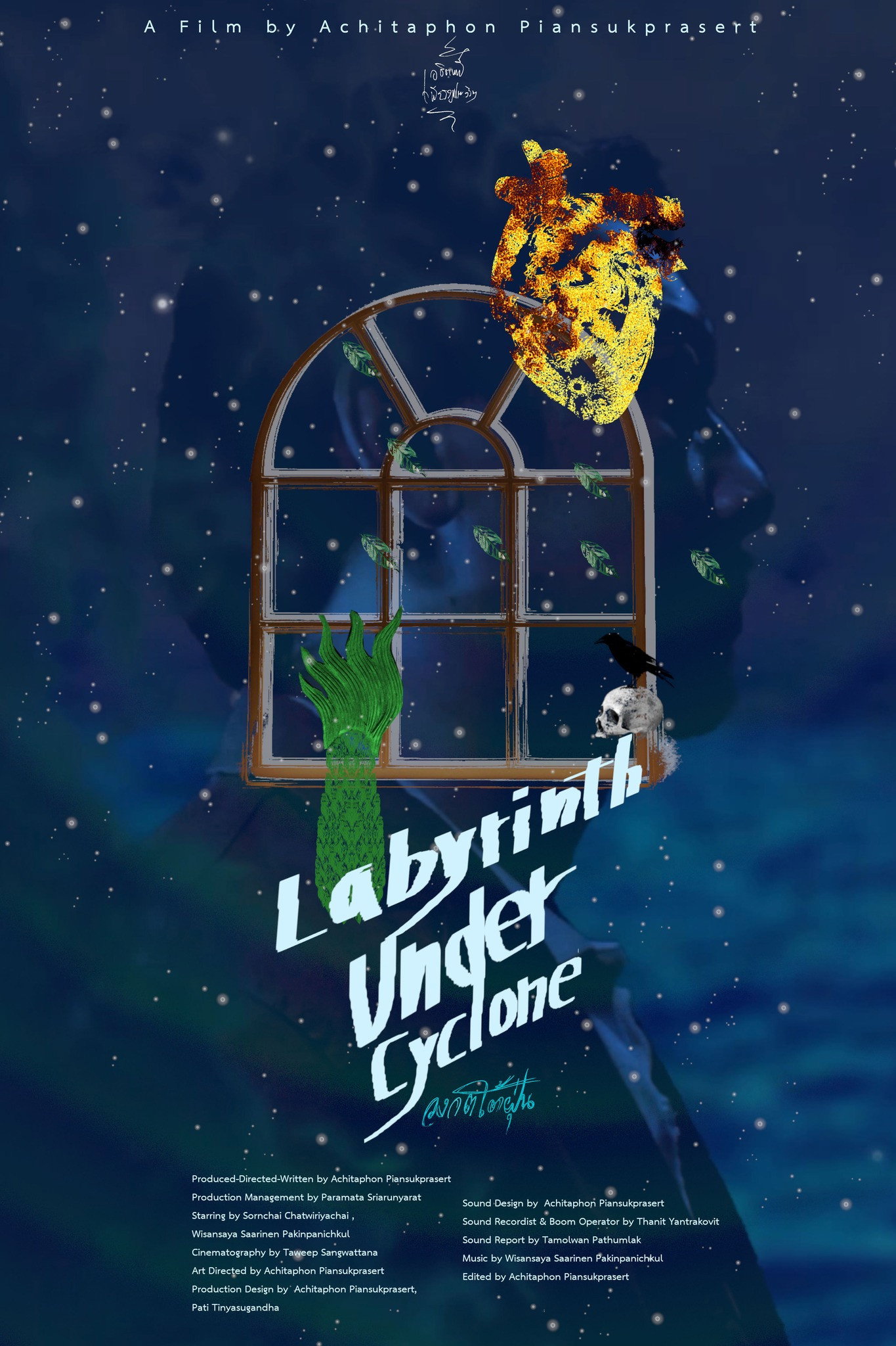 Labyrinth Under Cyclone (2025) poster