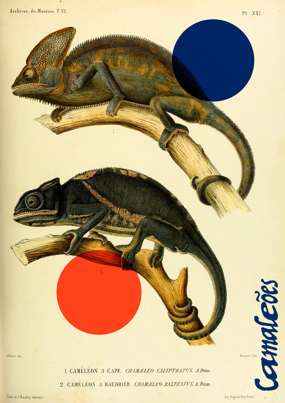 Chameleons (2022) poster