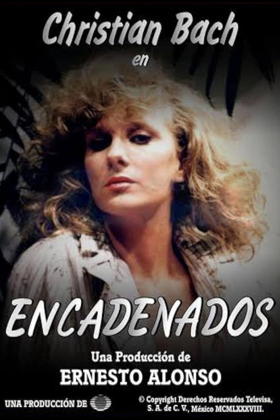 Encadenados (1988) poster