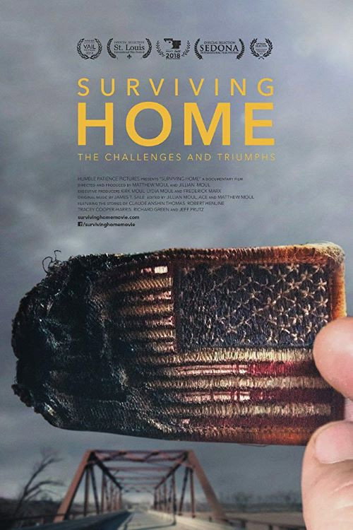 Surviving Home (2017) poster