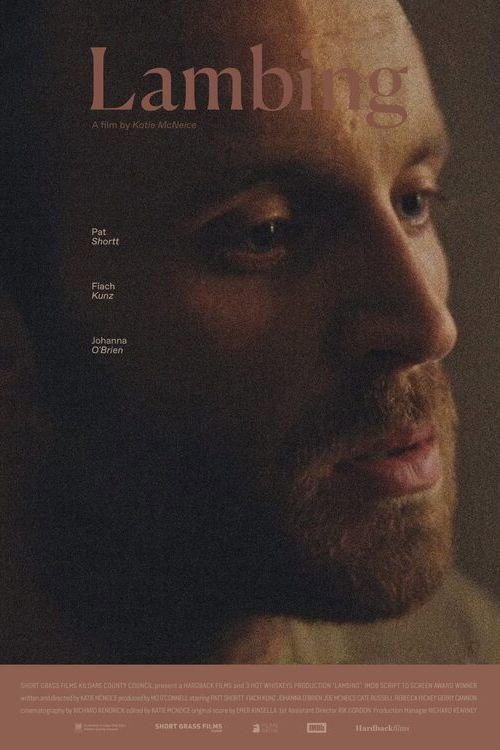 Lambing (2022) poster