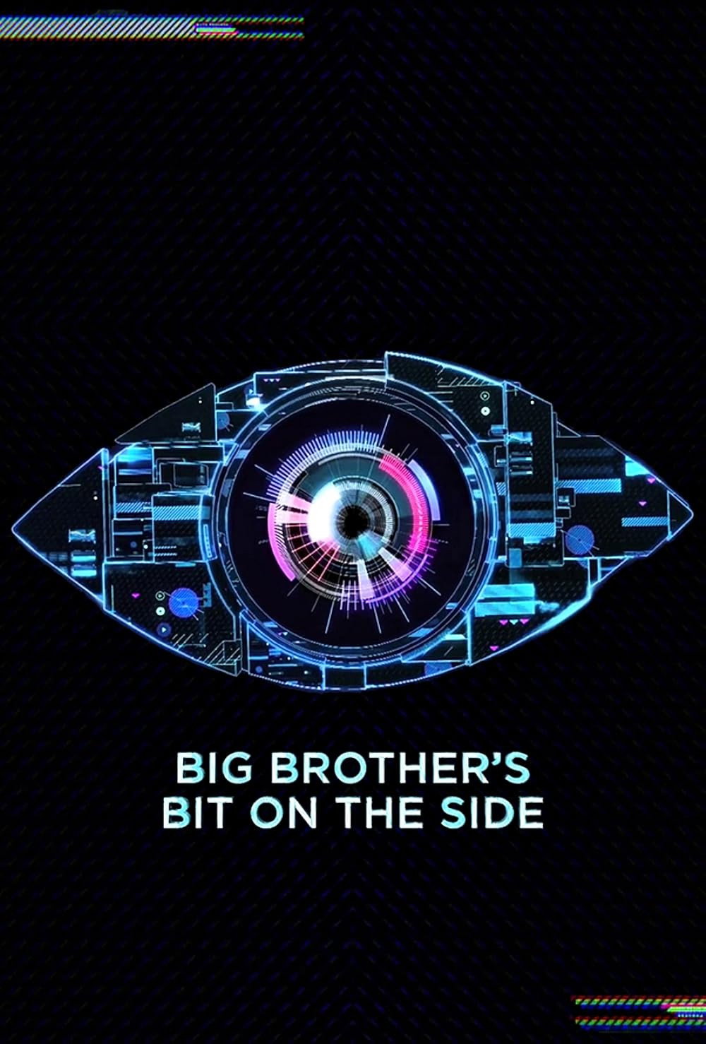 Big Brother's Bit on the Side (2011) poster