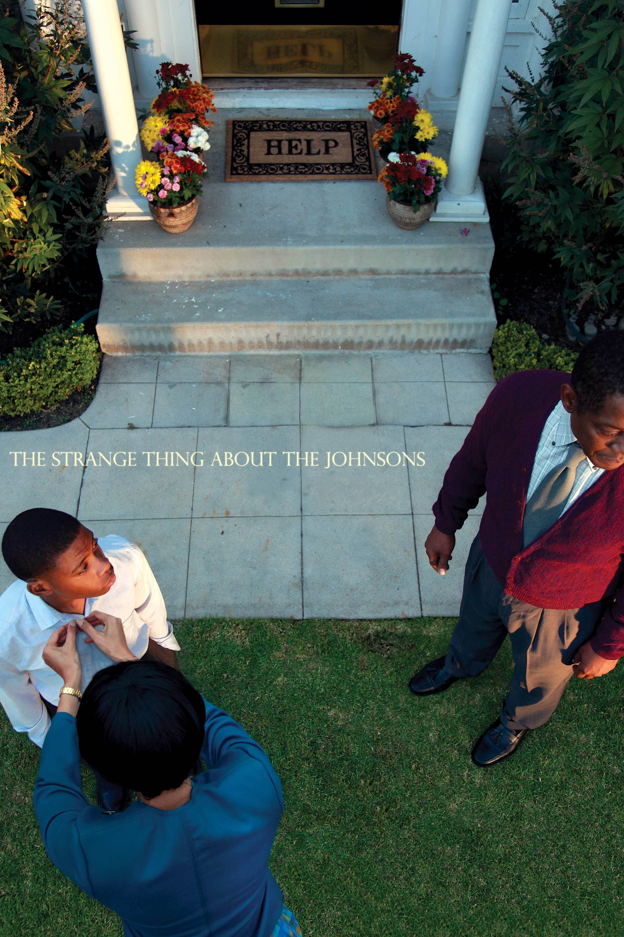 The Strange Thing About the Johnsons (2011) poster