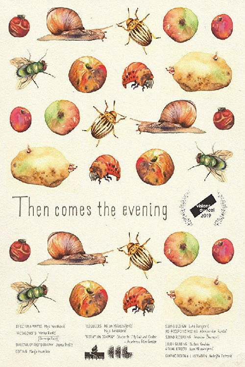 Then Comes the Evening (2020) poster