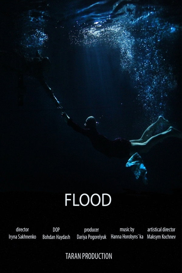 Flood (2019) poster