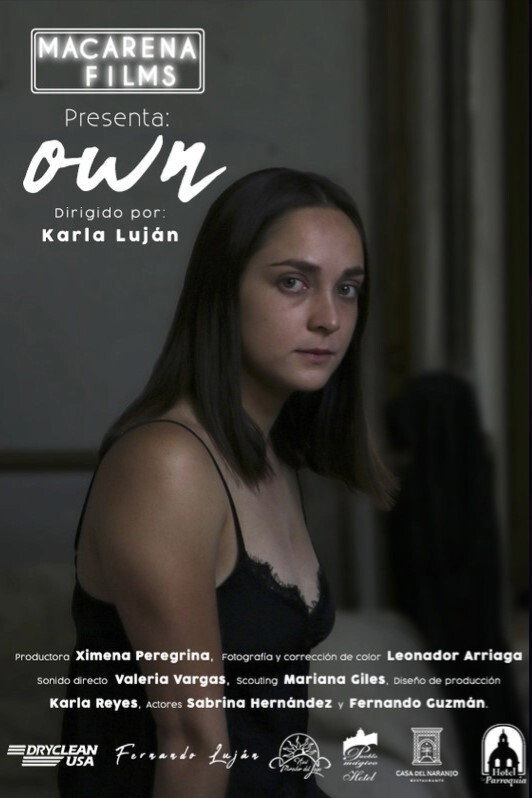 Own (2019) poster