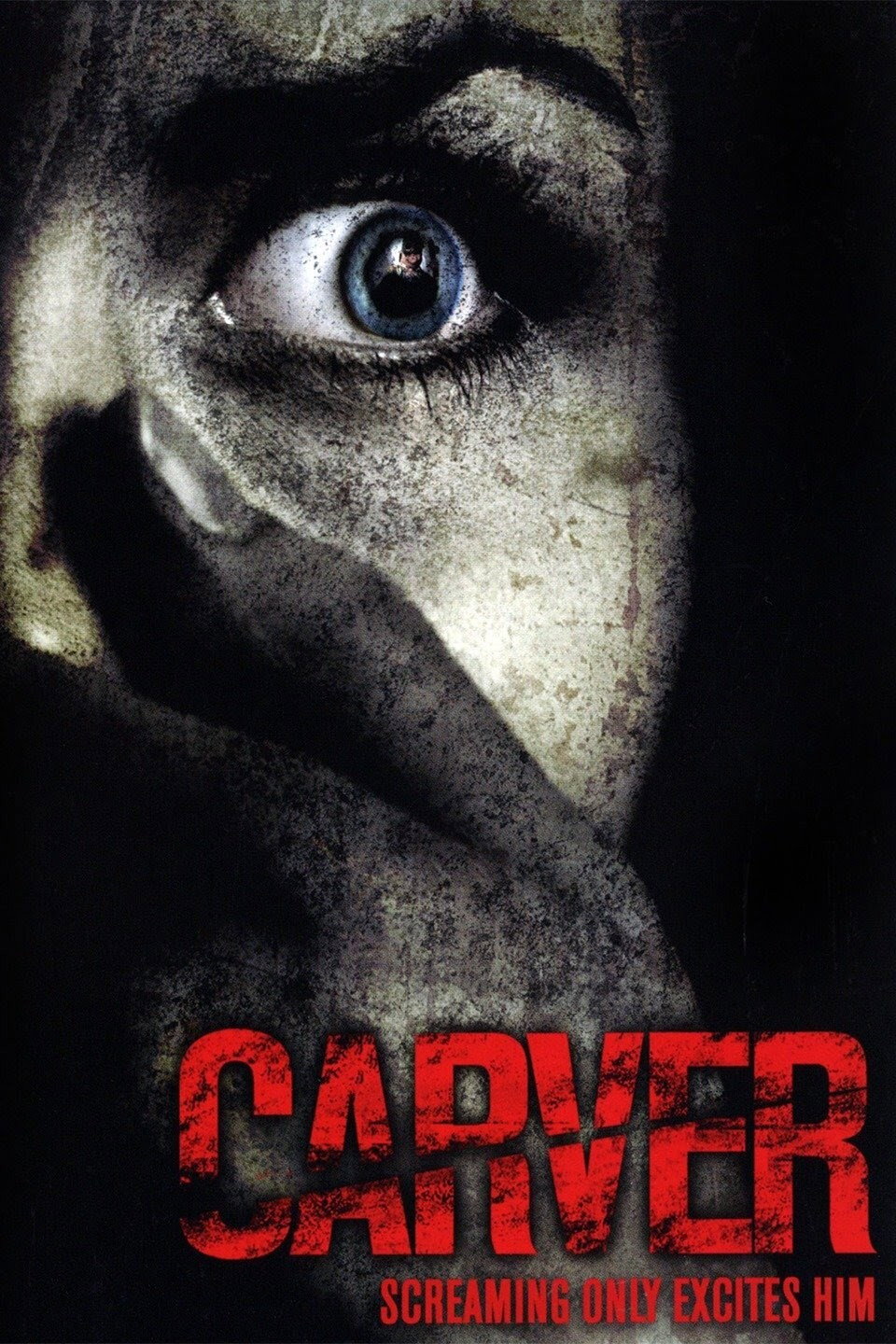 Carver (2008) poster