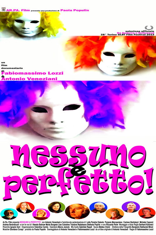 Nobody's Perfect! (2013) poster