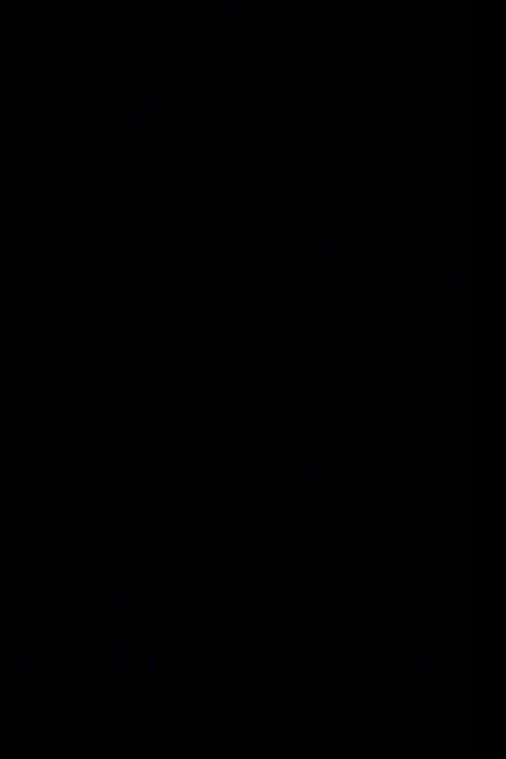 The Black Screen Film (2024) poster