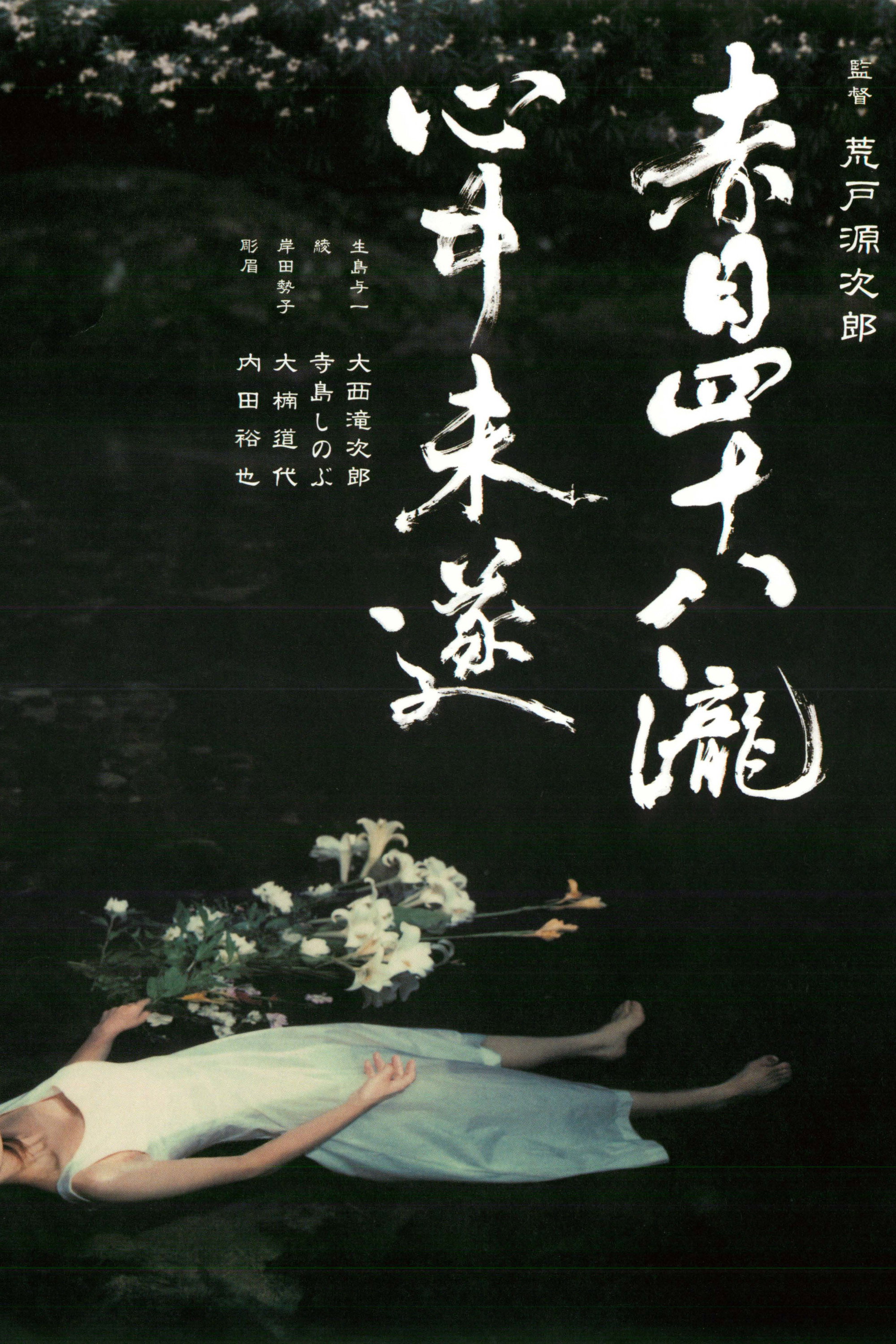 Akame 48 Waterfalls (2003) poster
