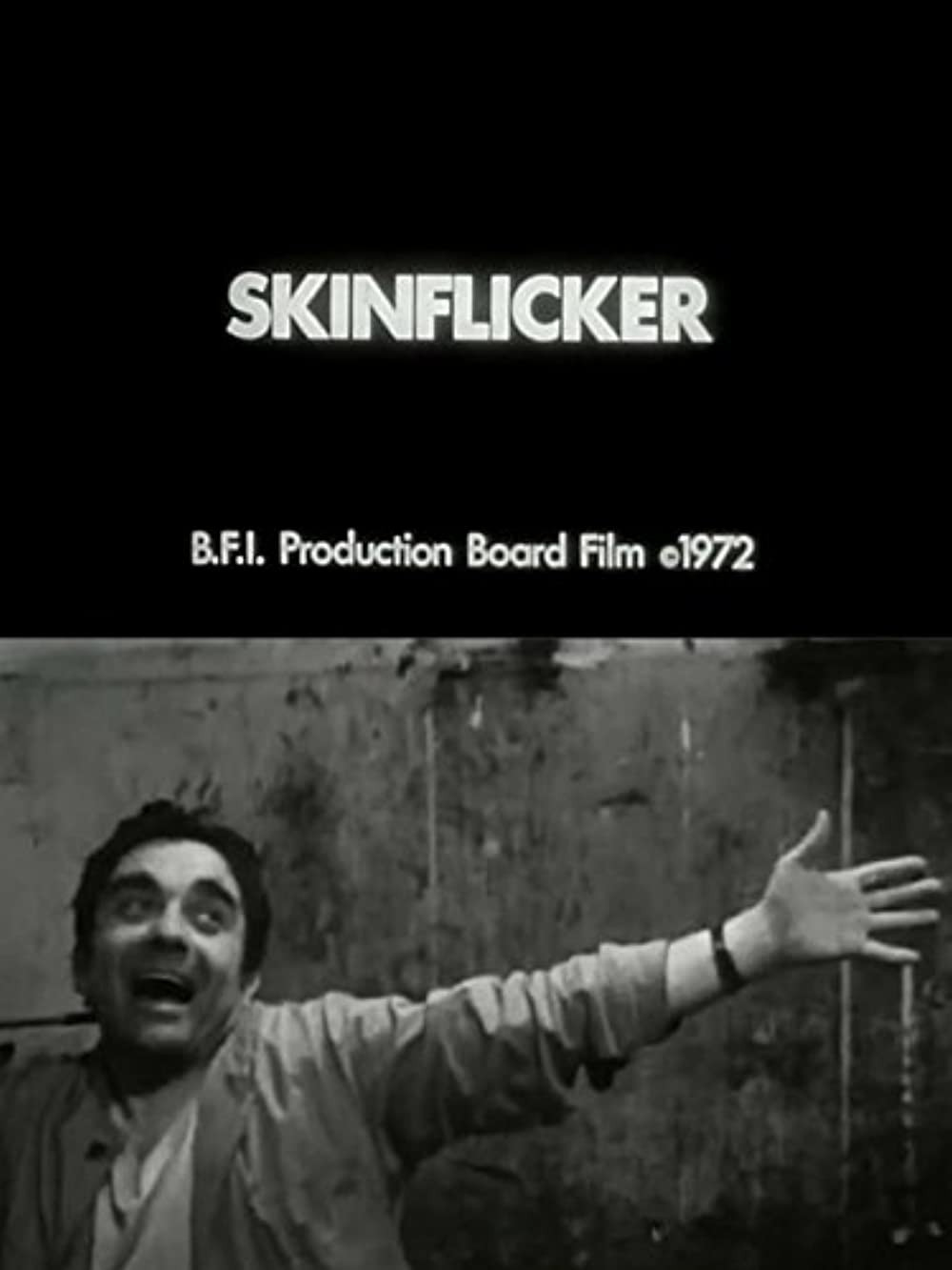 Skinflicker (1972) poster