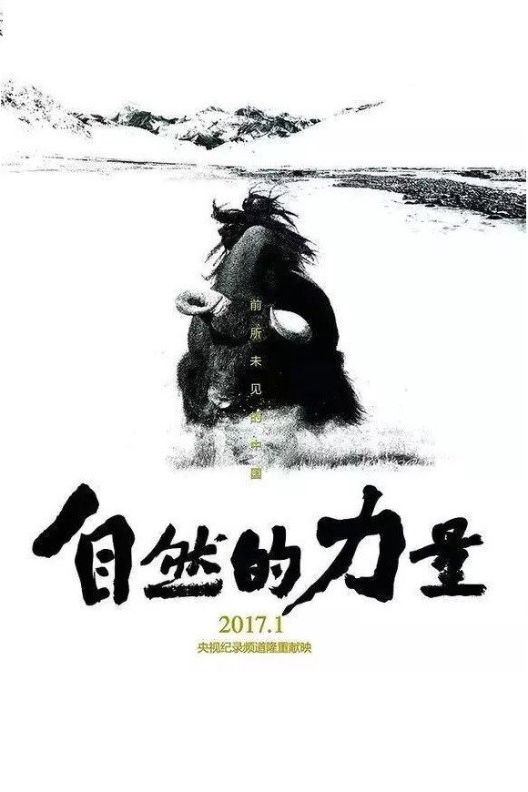 自然的力量 (2017) poster
