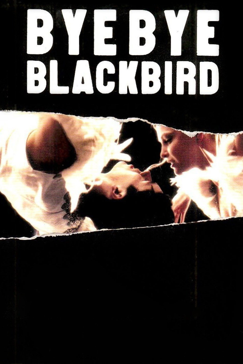 Bye Bye Blackbird (2005) poster