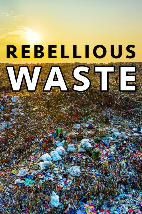 Rebellious Waste (2020) poster