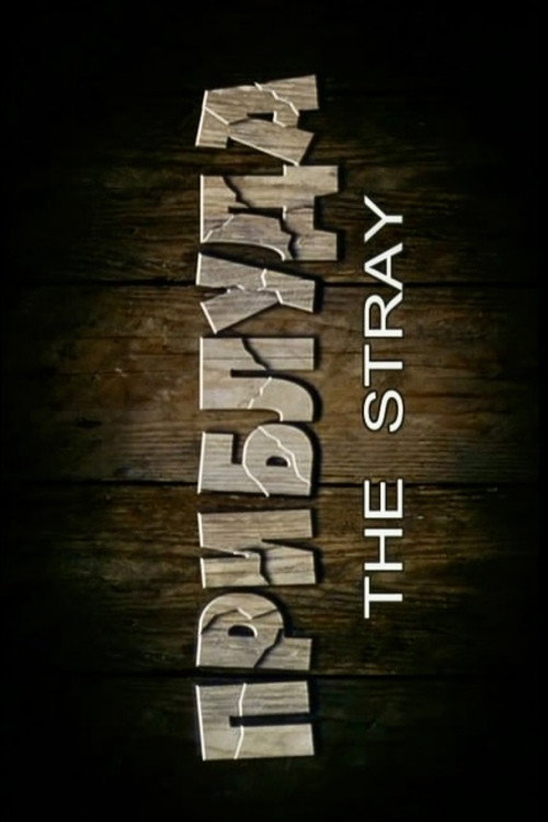 The Stray (2007) poster