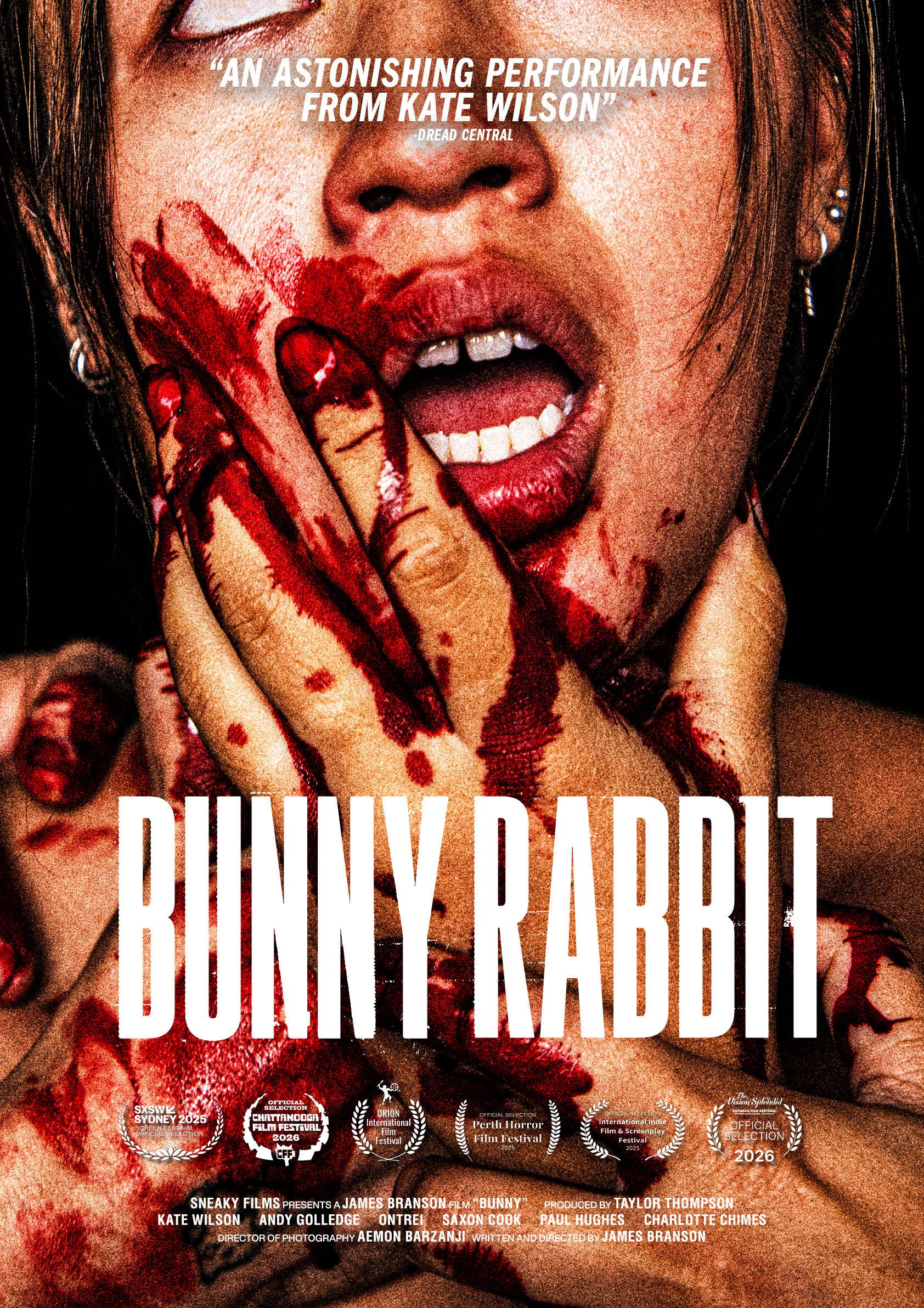 Bunny Rabbit (2025) poster
