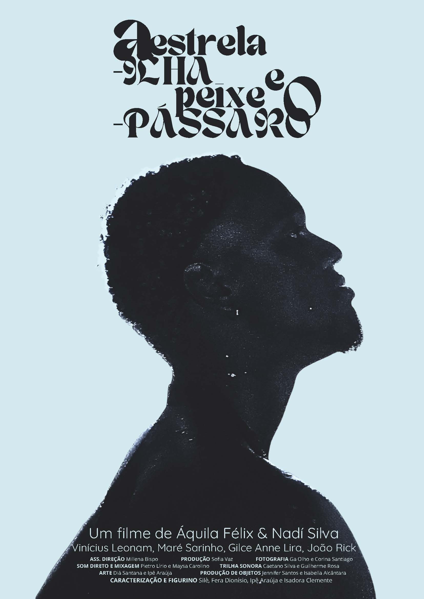 A Estrela-ilha e o Peixe-pássaro (2026) poster