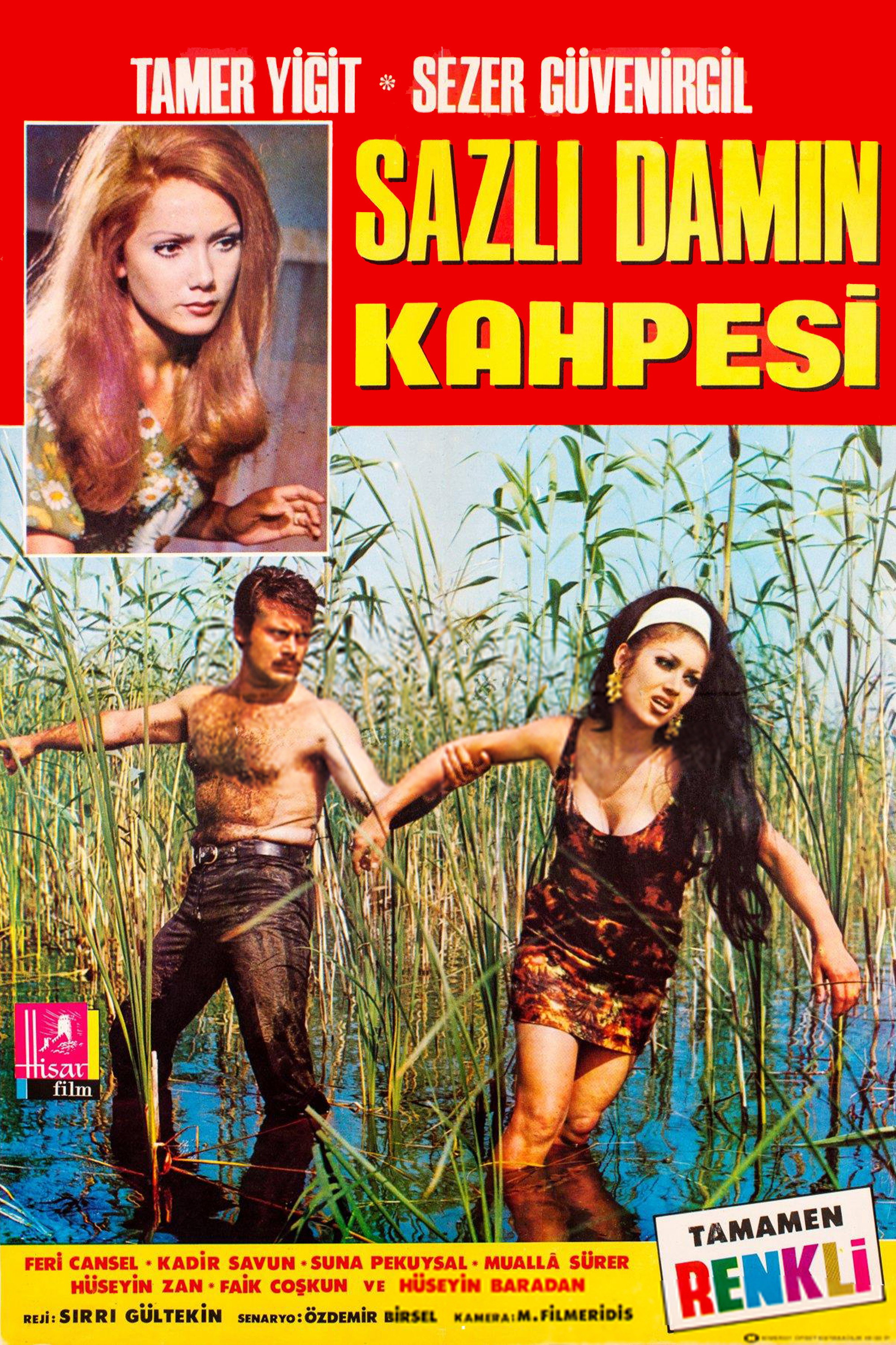 Sazlı Damın Kahpesi (1969) poster