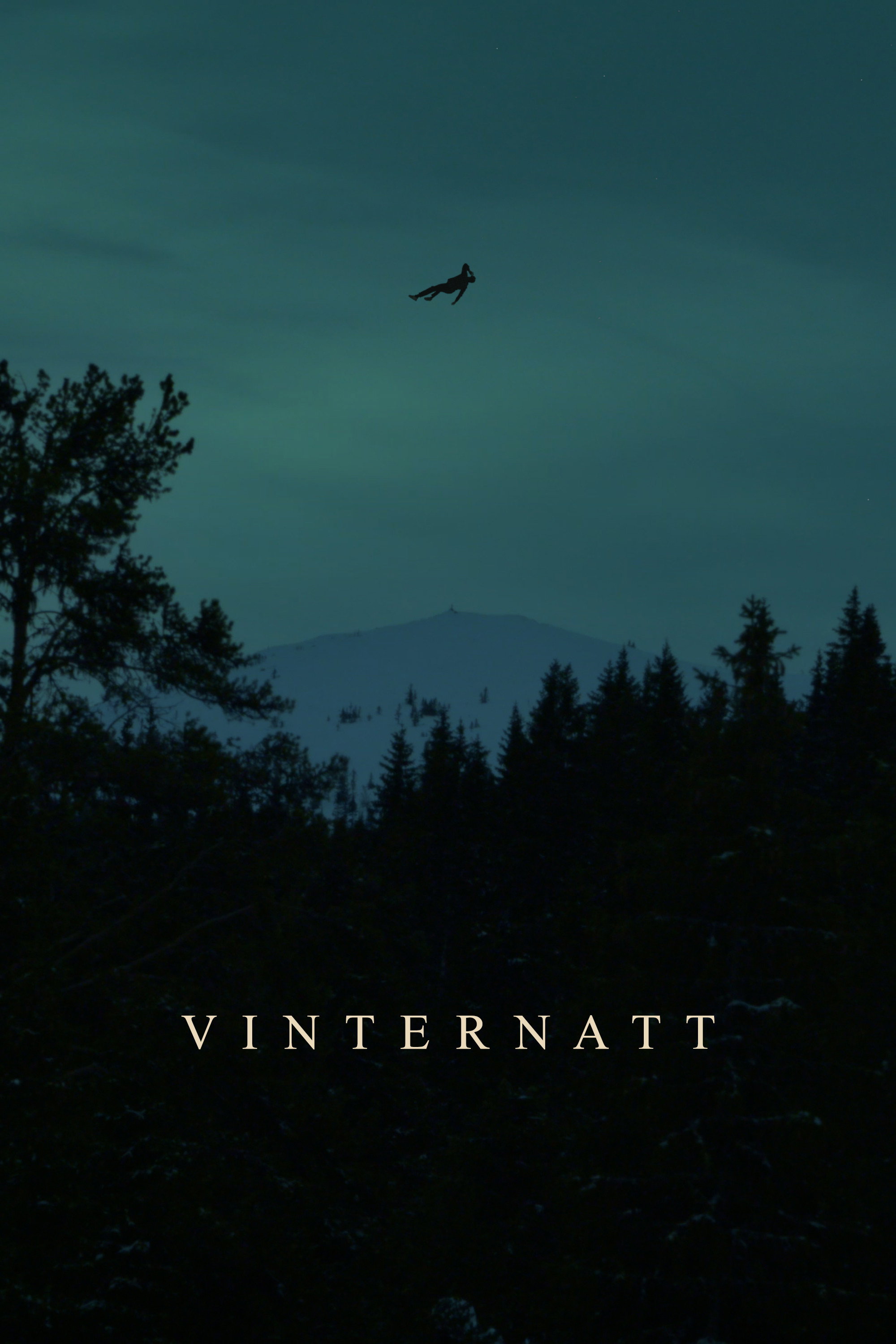 Vinternatt (2023) poster