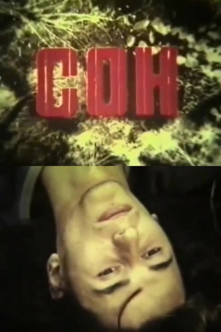 Dream (1988) poster