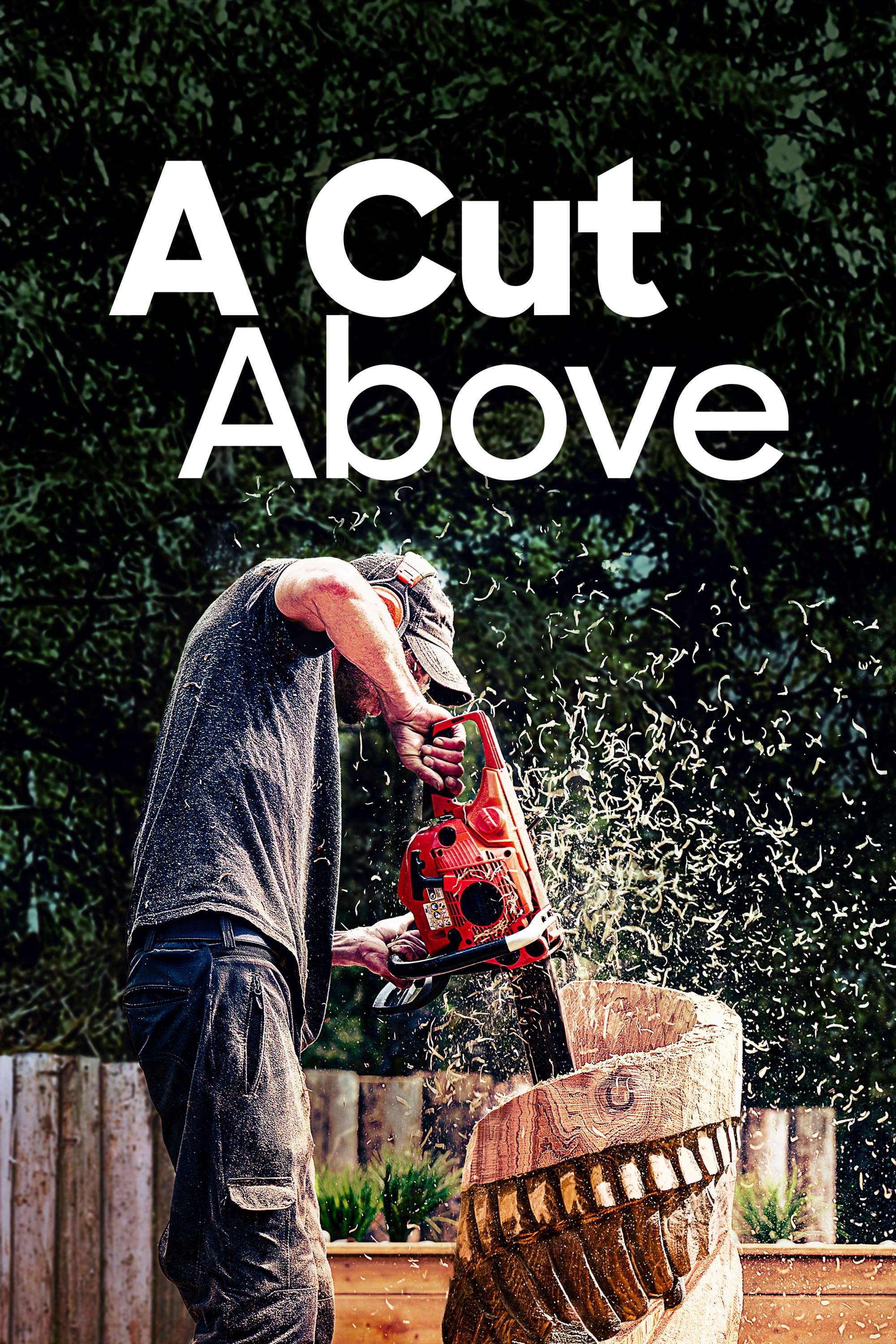 A Cut Above (2022) poster
