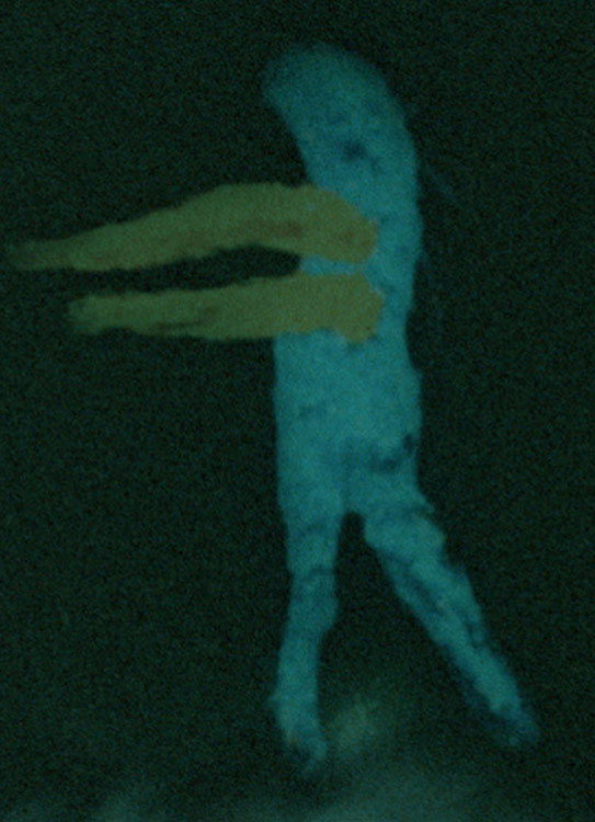 Final Obscura (2025) poster