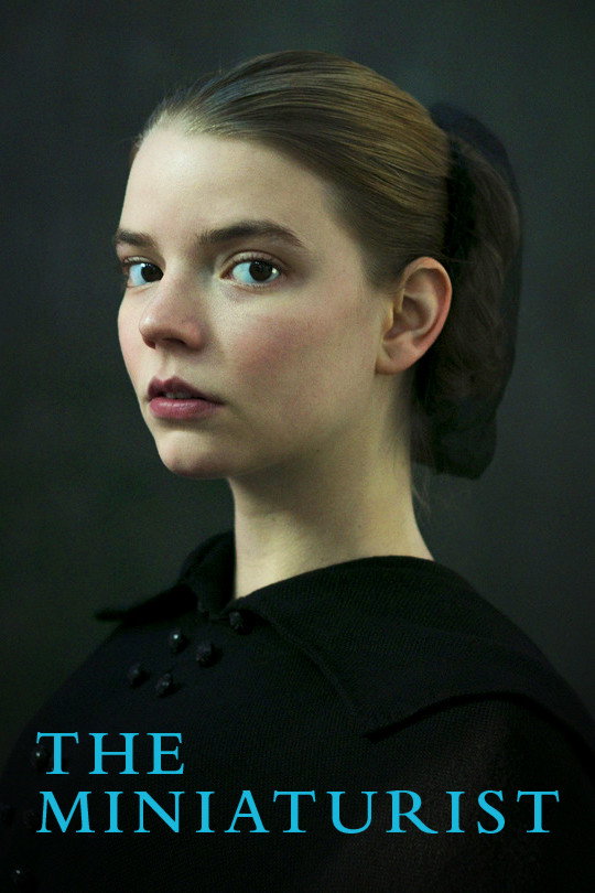 The Miniaturist (2017) poster