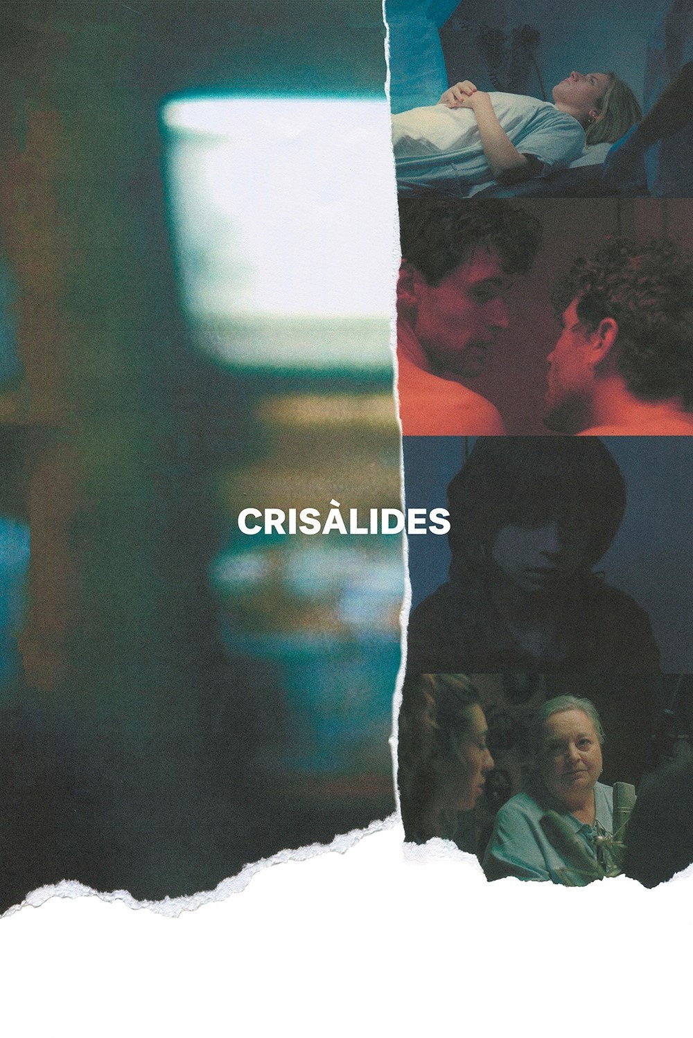 Chrysalises (2022) poster
