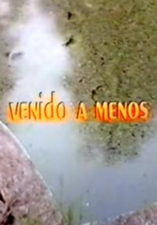 Venido a menos (1984) poster