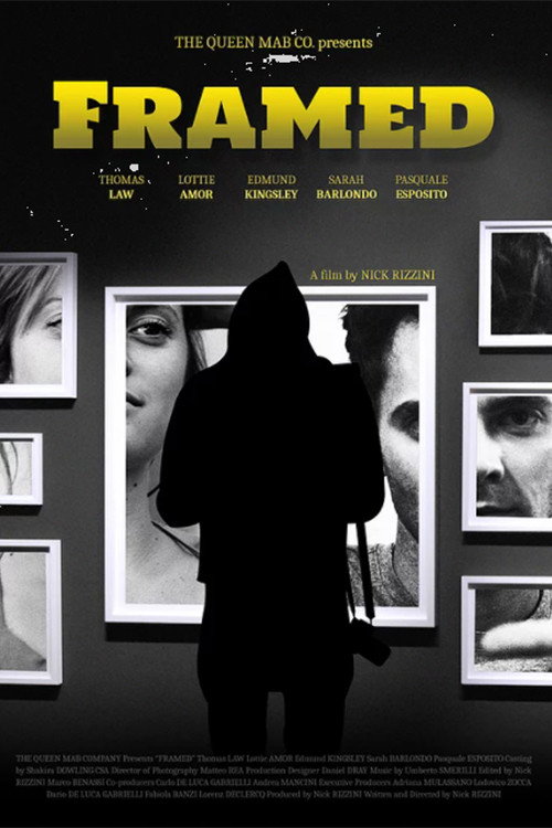 Framed (2021) poster