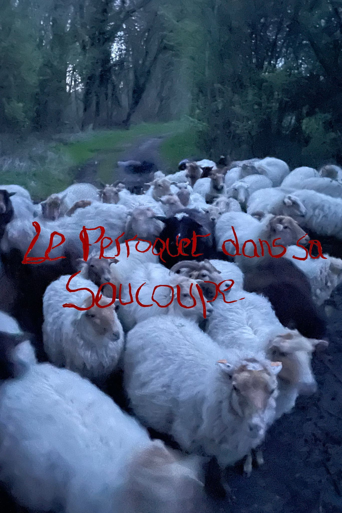 Le Perroquet dans sa Soucoupe (Short Version) (2024) poster