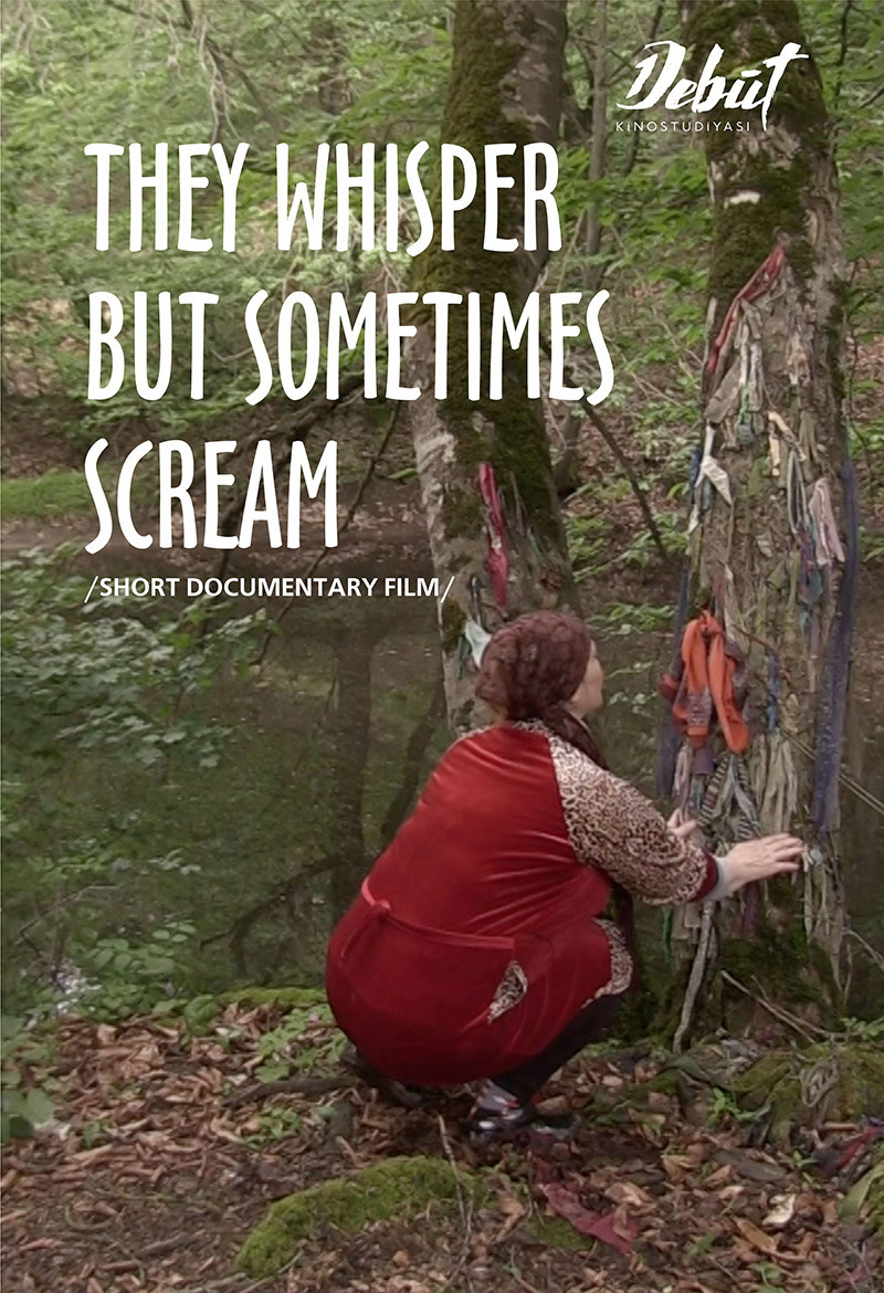 They Whisper But Sometimes Scream (2020) poster