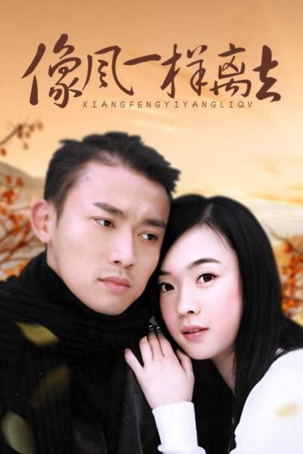 像风一样离去 (2005) poster
