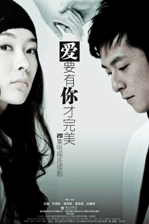 爱要有你才完美 (2010) poster