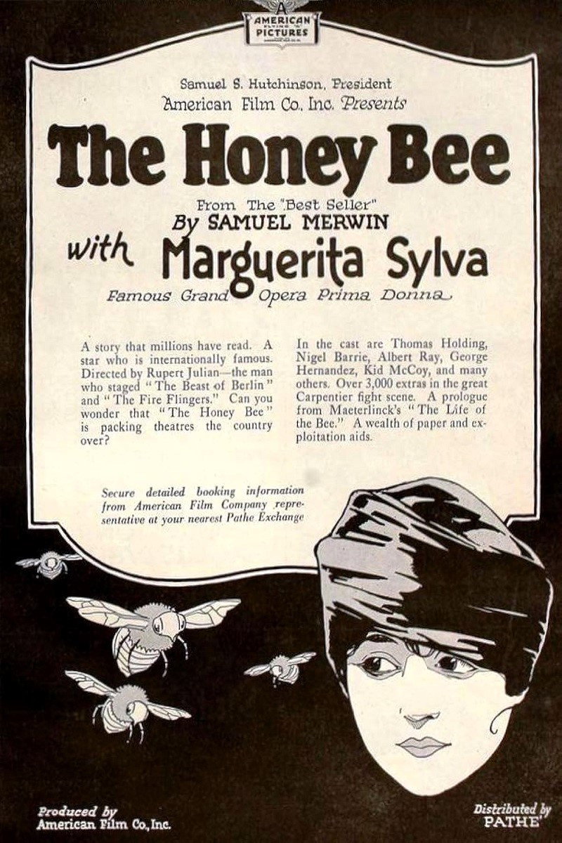 The Honey Bee (1920) poster