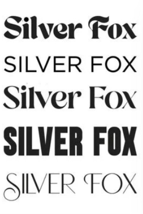 Silver Fox (2026) poster