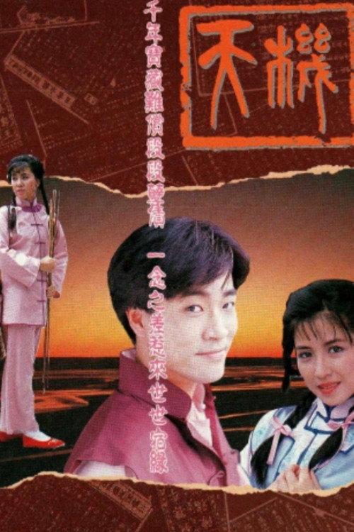 The Lost Treasure (1989) poster