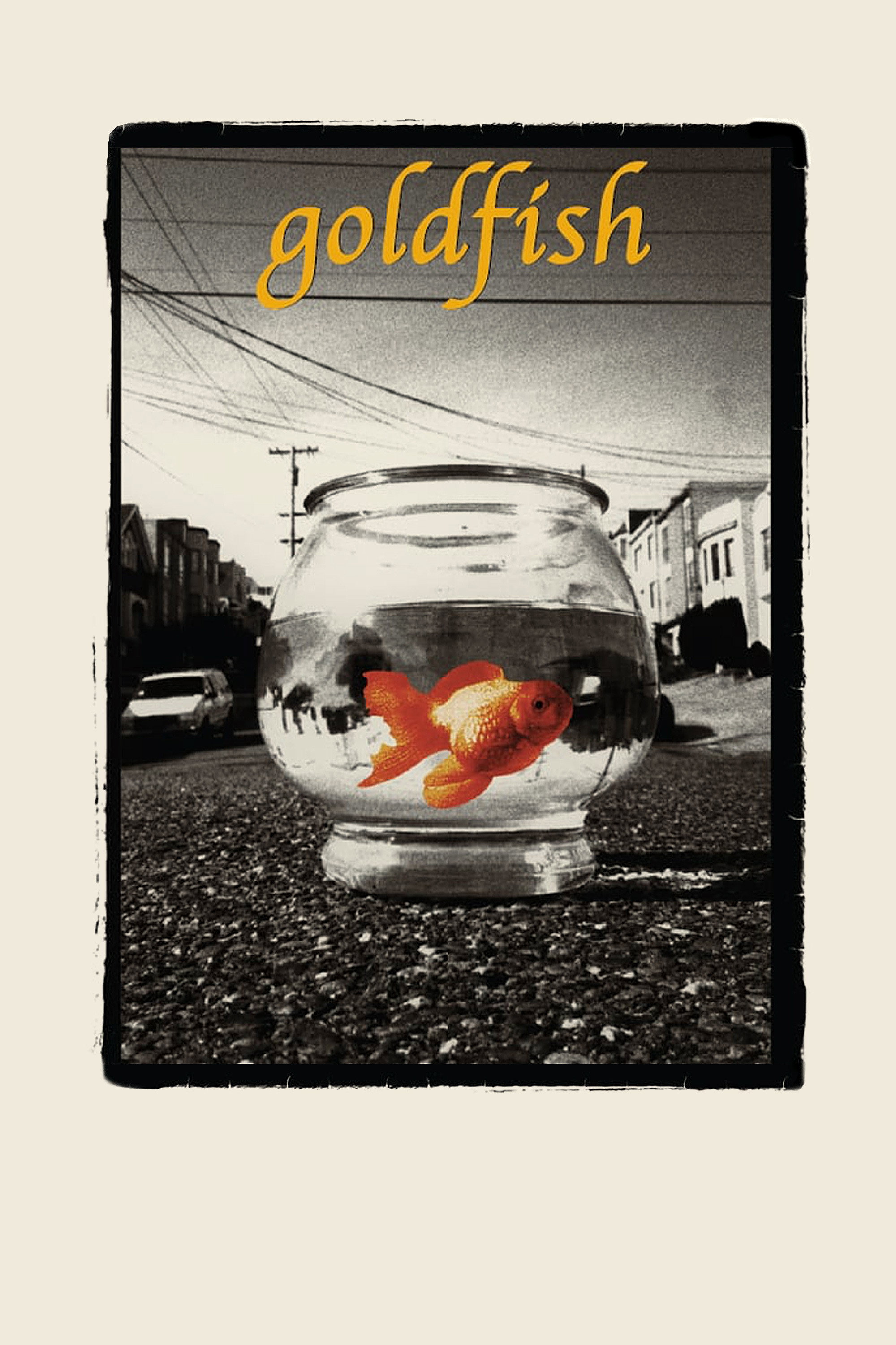 Goldfish (1993) poster